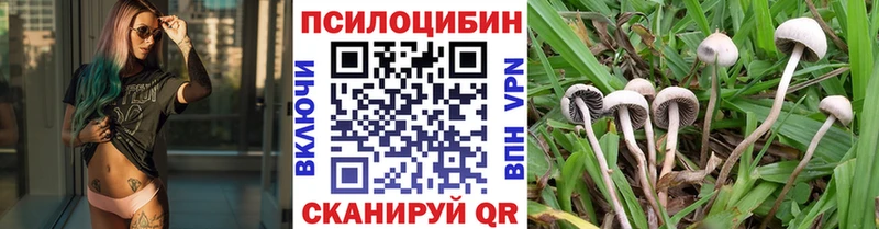 купить наркоту  Екатеринбург  Псилоцибиновые грибы MAGIC MUSHROOMS 